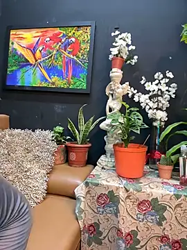 uma patna000 online show from December 31, 8:26 am