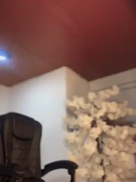 Ambar pe  online show from November 10, 10:36 am