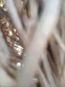 FinableKnee online show from September 19, 4:47 am