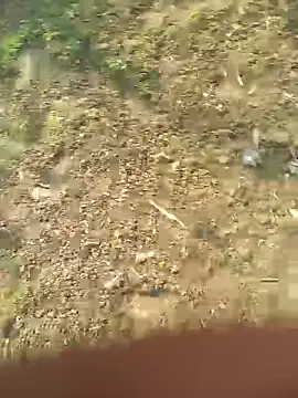 FinableKnee online show from October 27, 5:11 am