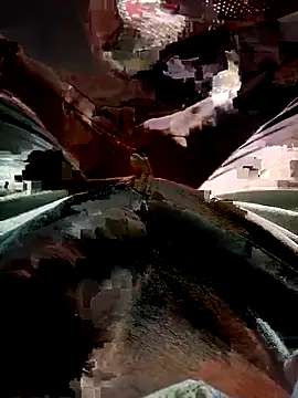 FinableKnee online show from November 17, 3:56 am