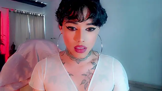 little star porn online show from February 20, 4:14 pm