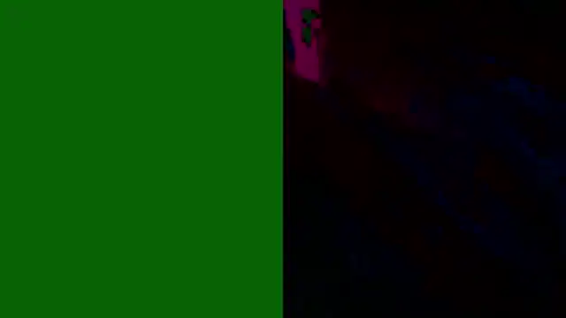 PUSSYundBAER online show from December 21, 1:57 am