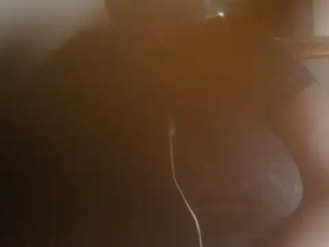 crazypervet online show from January 18, 11:58 am