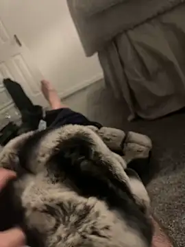 Furdale online show from January 6, 4:55 pm