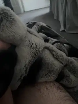 Furdale online show from January 7, 10:43 am