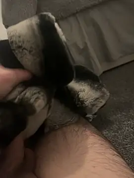 Furdale online show from January 7, 5:20 pm