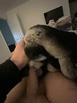 Furdale online show from January 24, 2:41 pm