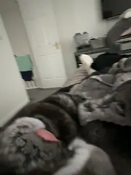 Furdale online show from September 22, 4:20 pm