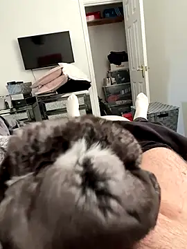 Furdale online show from September 25, 4:54 pm