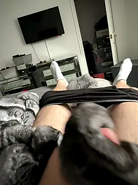 Furdale online show from October 13, 1:55 pm