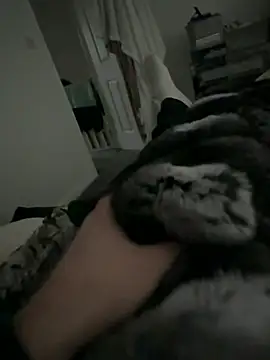 Furdale online show from February 2, 2:49 pm