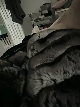 Furdale online show from March 9, 3:16 pm