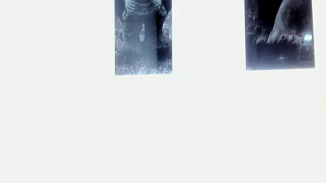 AlexRivera6 online show from March 17, 11:43 pm