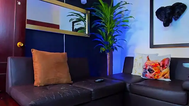 Markboyl online show from February 7, 3:41 pm