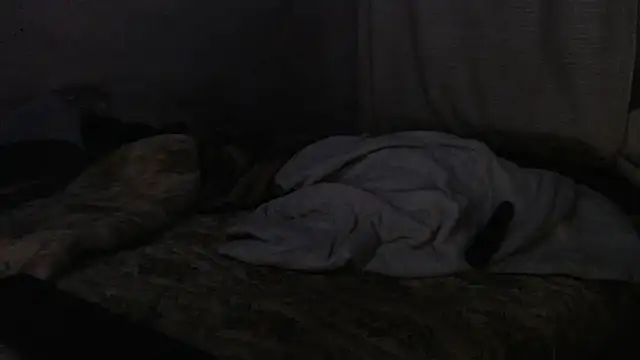 devine TATAS online show from September 16, 7:26 pm