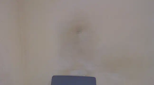 AlexNudo online show from February 5, 4:58 pm