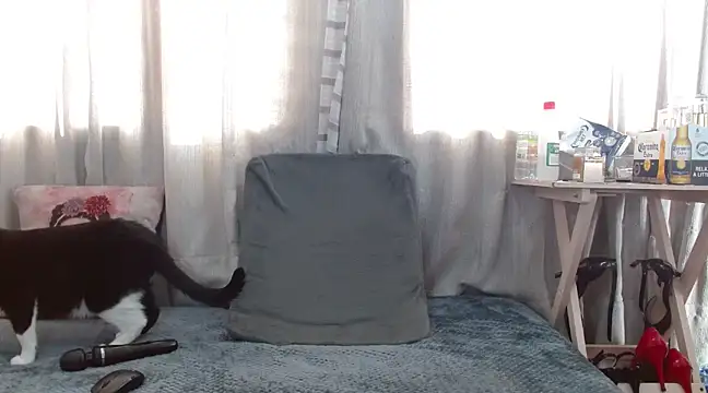 Snapshot of Boonny_Boo01 chatting on February 1, 1:41 pm Boonny Boo01 online show from February 1, 1:41 pm