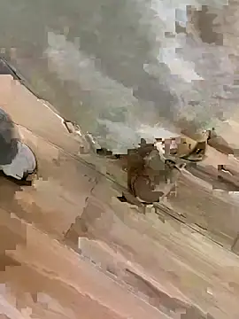 Snapshot of TBgril chatting on January 13, 10:53 am TBgril online show from January 13, 10:53 am