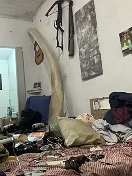 raphadoors19 online show from December 20, 4:52 am