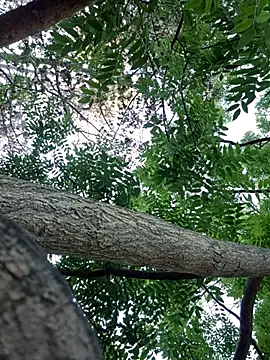 Keli Jessi online show from September 14, 1:21 pm