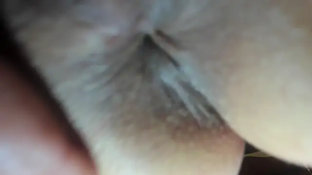 Snapshot of FrumCake chatting on December 21, 3:47 am FrumCake online show from December 21, 3:47 am