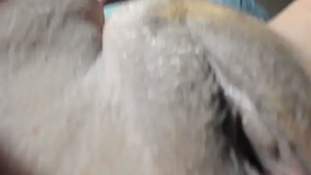 Snapshot of FrumCake chatting on December 27, 1:11 am FrumCake online show from December 27, 1:11 am