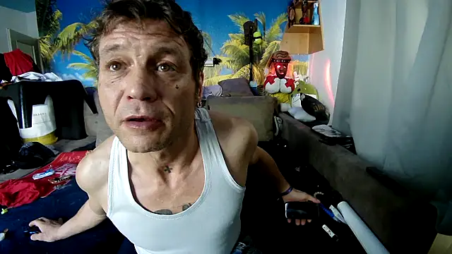 druckfug online show from December 5, 11:19 am