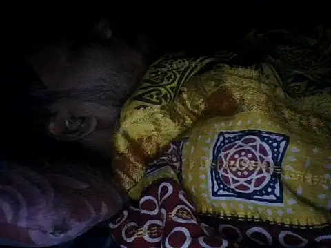 chittagong77 online show from December 13, 9:53 pm