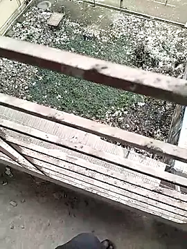 chittagong77 online show from February 22, 9:52 am