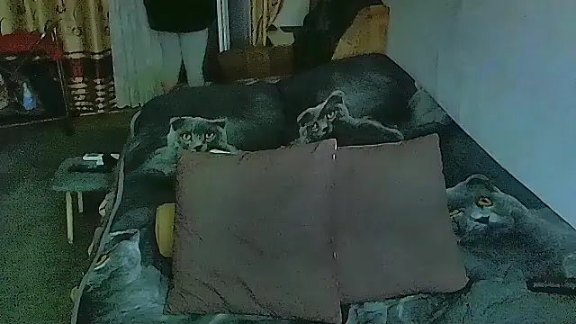 Snapshot of sex2 chatting on November 12, 11:36 pm sex2 online show from November 12, 11:36 pm