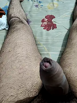 vishnuvinod india online show from November 15, 2:13 pm