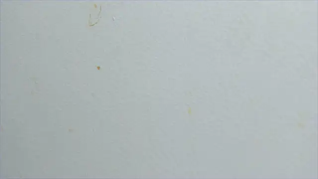 Snapshot of lisa2018 chatting on February 21, 11:10 pm lisa2018 online show from February 21, 11:10 pm