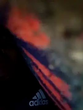 Pitercom online show from February 12, 2:56 pm