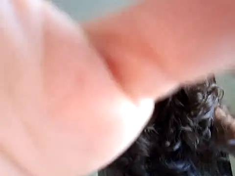 Snapshot of Abysparadise chatting on November 11, 5:46 pm Abysparadise online show from November 11, 5:46 pm