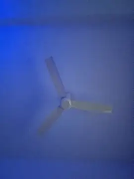 monabhabi22 online show from February 24, 11:32 am