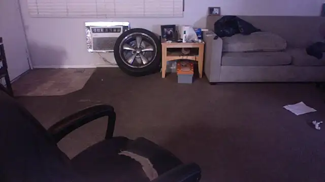 palidin1 online show from April 17, 7:33 am