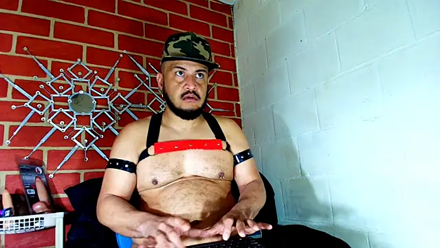 the master foal  online show from November 19, 3:01 pm