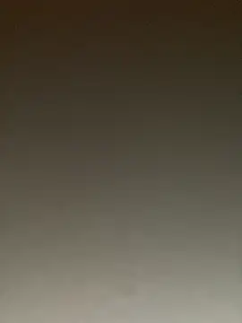 ToysRus24 online show from January 22, 8:28 pm