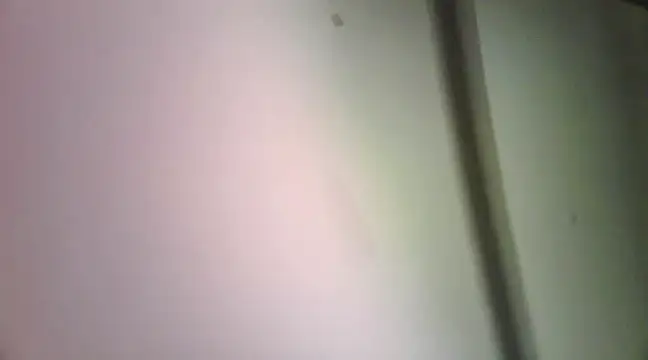 Snapshot of sura11311 chatting on February 15, 8:00 am sura11311 online show from February 15, 8:00 am