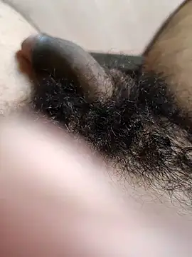 Snapshot of Honestguy100 chatting on November 8, 5:29 am Honestguy100 online show from November 8, 5:29 am