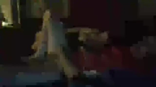 Wyleyxh online show from November 11, 11:43 am