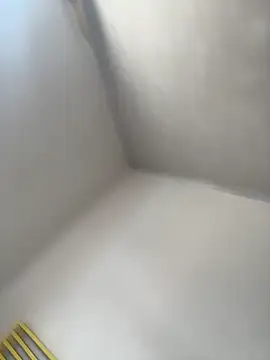 Juliana News online show from November 28, 5:15 pm