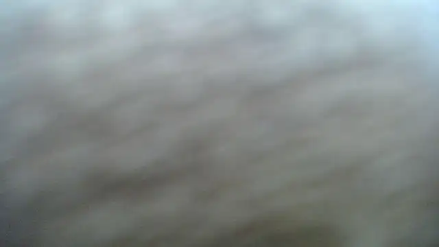 DAPHNE doll online show from November 6, 3:35 pm