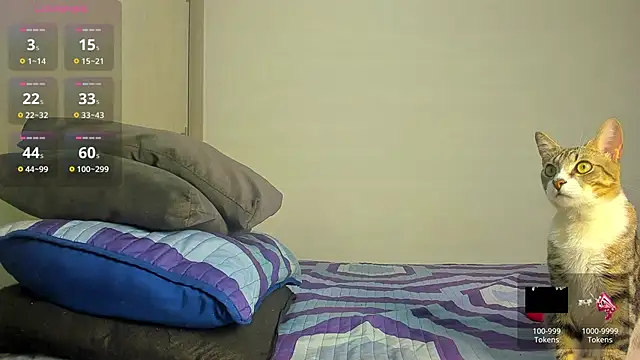 Snapshot of caroline_tovar chatting on November 29, 1:30 am caroline tovar online show from November 29, 1:30 am