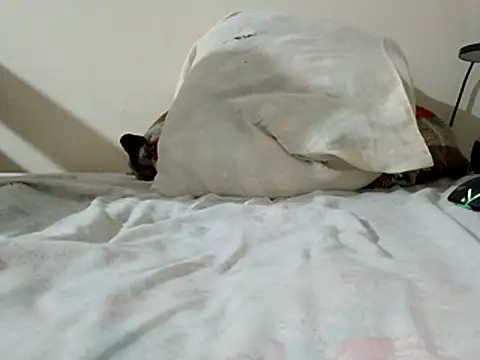 JamesQuaresma online show from February 11, 3:39 pm