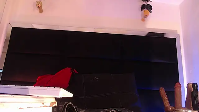 StefyFerrer online show from July 12, 3:41 am