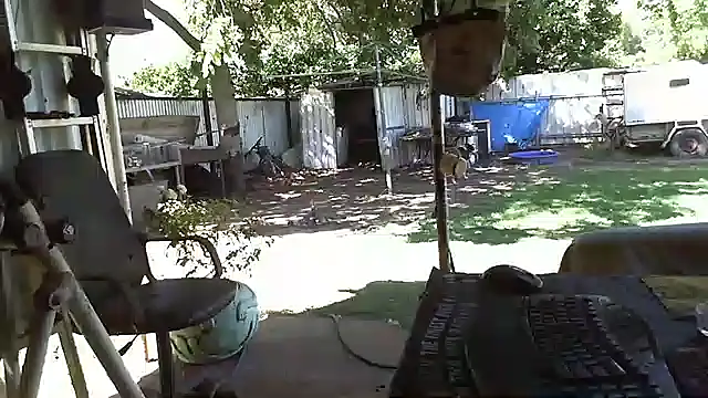 Snapshot of herbie010666 chatting on January 17, 5:11 am herbie010666 online show from January 17, 5:11 am