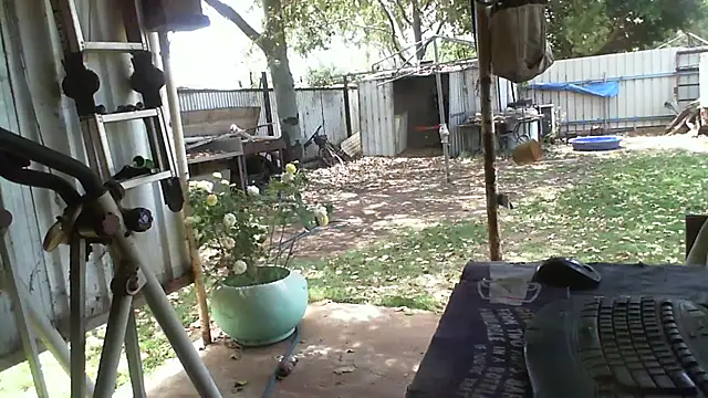 Snapshot of herbie010666 chatting on October 12, 2:32 am herbie010666 online show from October 12, 2:32 am