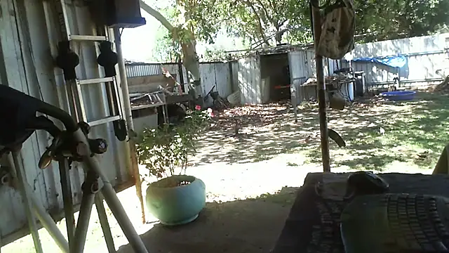 Snapshot of herbie010666 chatting on November 6, 4:24 am herbie010666 online show from November 6, 4:24 am